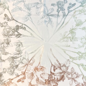 ELEGANZZA [109775] премиум класса в бутиках Monte Rosso